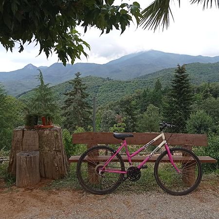 Apartamento En Pleno Montseny Mas Romeu Turisme Rural Arbúcies Extérieur photo