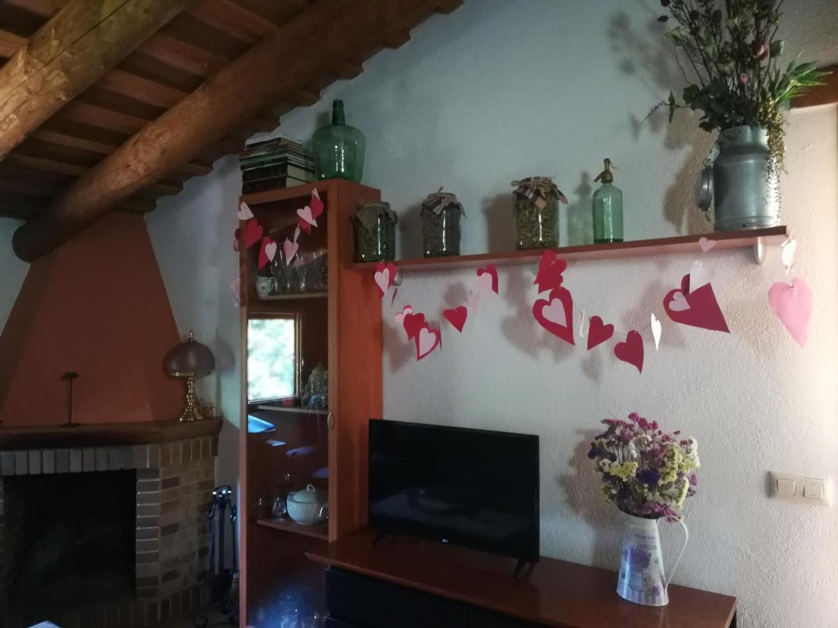 Apartamento En Pleno Montseny Mas Romeu Turisme Rural Arbúcies Extérieur photo