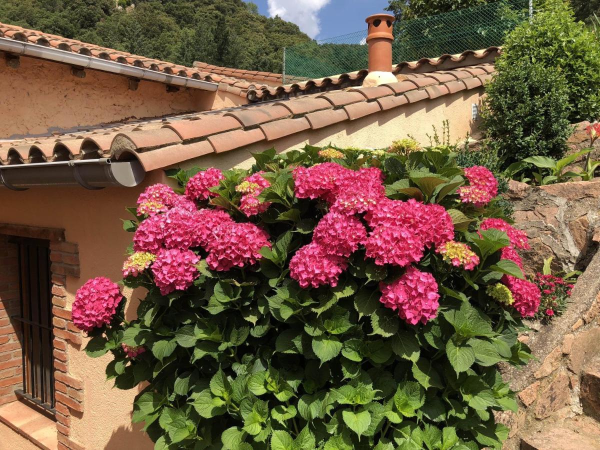 Apartamento En Pleno Montseny Mas Romeu Turisme Rural Arbúcies Extérieur photo