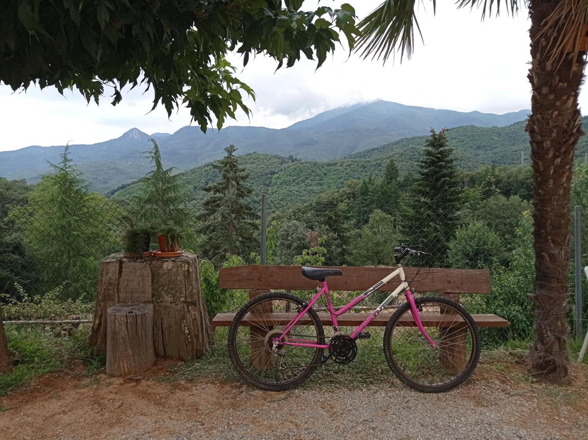 Apartamento En Pleno Montseny Mas Romeu Turisme Rural Arbúcies Extérieur photo