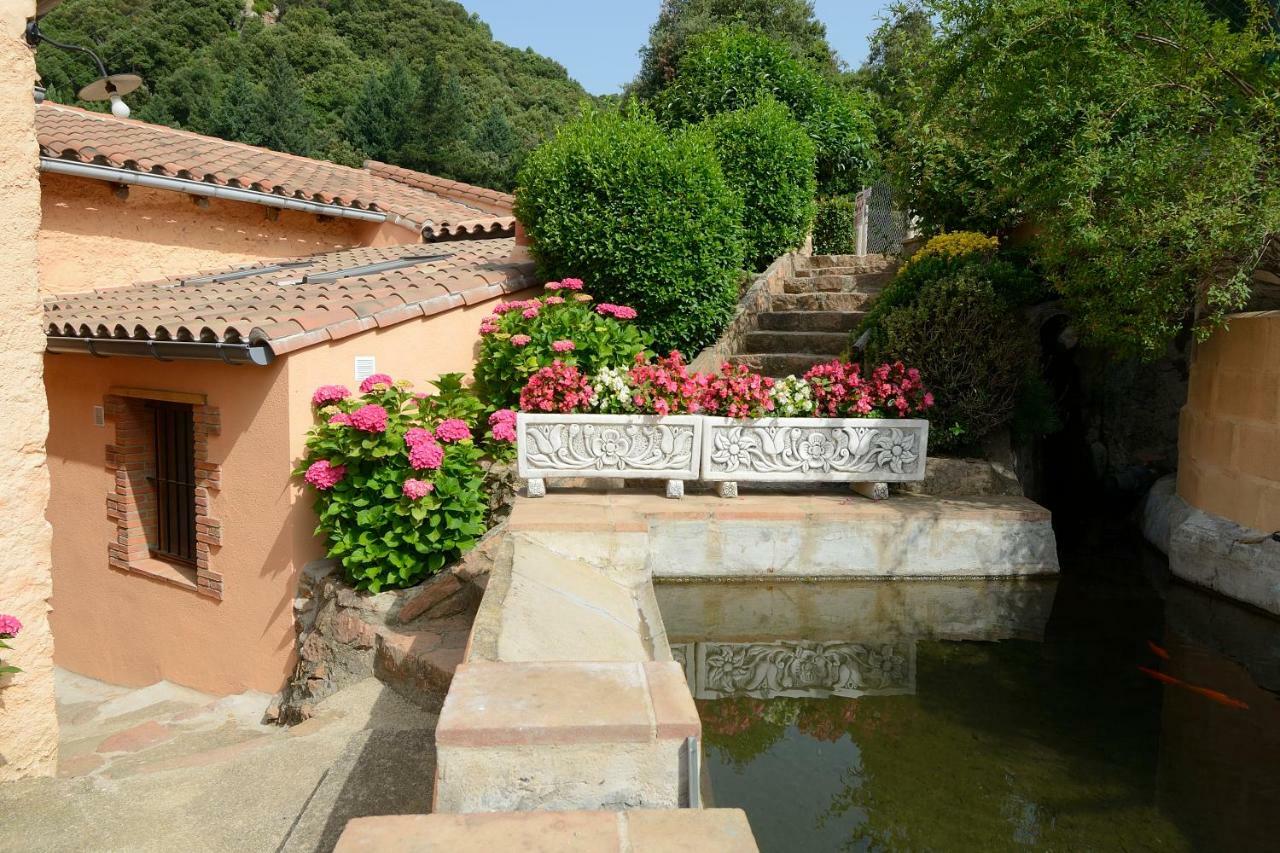 Apartamento En Pleno Montseny Mas Romeu Turisme Rural Arbúcies Extérieur photo