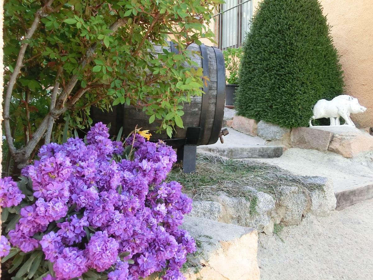 Apartamento En Pleno Montseny Mas Romeu Turisme Rural Arbúcies Extérieur photo